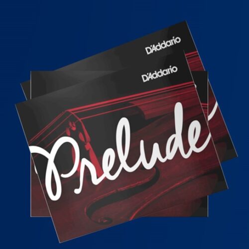 A string 1/8 d'Addario Prelude for Cello